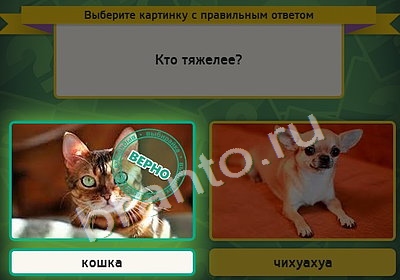 Одноклассники Выбирайка ответы Уровень 4208