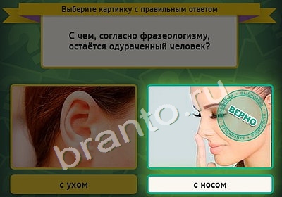 Выбирайка подсказки в контакте Уровень 4209