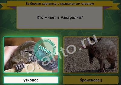 Выбирайка игра подсказки Уровень 4214