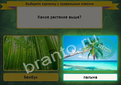 Выбирайка ответы в картинках Уровень 4216