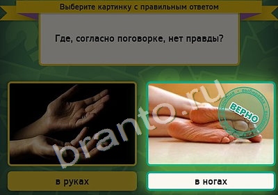 игра Выбирайка ответ на Уровень 4220