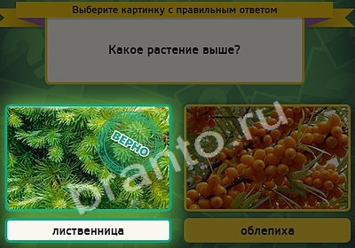 решебник на игру Выбирайка Уровень 4221