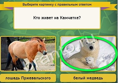 ответы к игре Выбирайка Уровень 4235