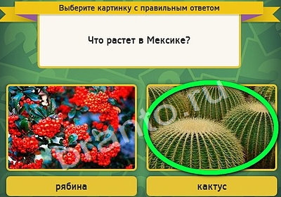 Выбирайка игра ответы в одноклассниках Уровень 4237