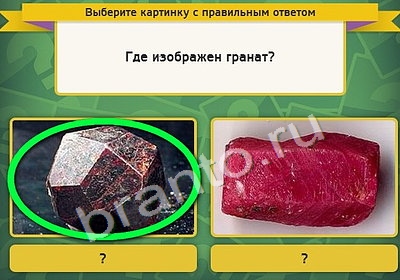 игра Выбирайка ответ на Уровень 4240