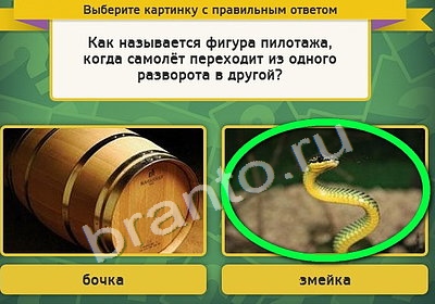 решебник на игру Выбирайка Уровень 4251