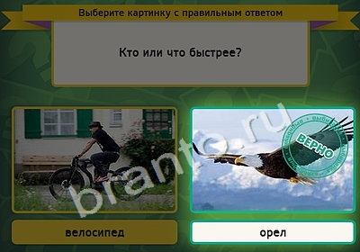 Выбирайка решения Уровень 4252