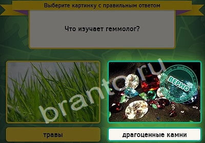 решебник на игру Выбирайка Уровень 4271