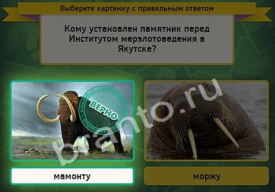 Выбирайка игра ответы Уровень 4283