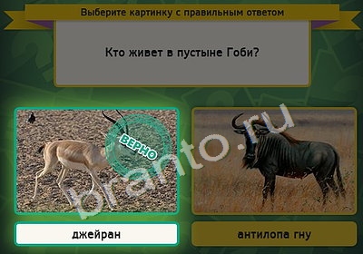 Выбирайка игра помощь Уровень 4285