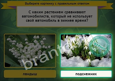 игра Выбирайка ответ на Уровень 4290