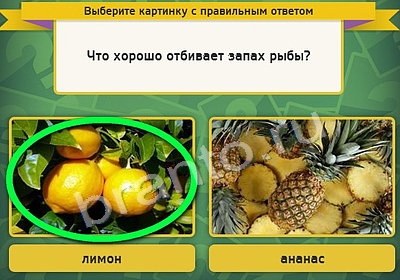 Картинка сбежала, скоро будет добавлена :)