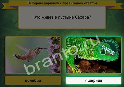 решебник на игру Выбирайка Уровень 4301