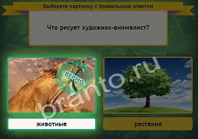 Выбирайка игра ответы Уровень 4303