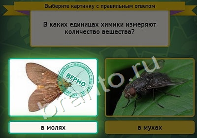 Выбирайка игра помощь Уровень 4305