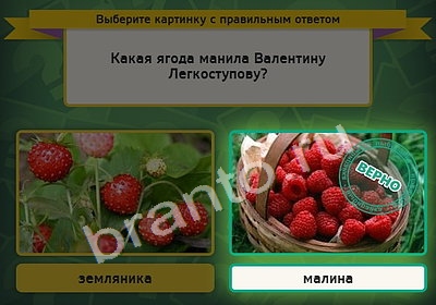 игра Выбирайка ответ на Уровень 4310