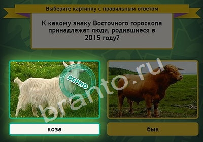 Игра Выбирайка подсказки Уровень 4318