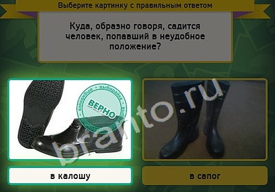 ответы к игре Выбирайка Уровень 4325