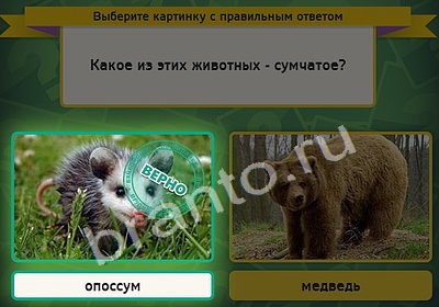 Выбирайка подсказки в контакте Уровень 4329