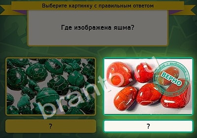 игра Выбирайка помощь Уровень 4339