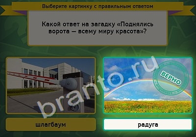 решебник на игру Выбирайка Уровень 4341