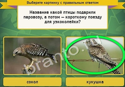 игра Выбирайка ответ на Уровень 4350