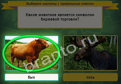 ответы на игру в одноклассниках Выбирайка Уровень 4356