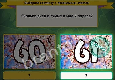 Выбирайка подсказки в контакте Уровень 4359
