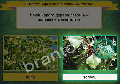 Выбирайка игра помощь Уровень 4375