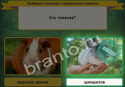 Игра Выбирайка подсказки Уровень 4378