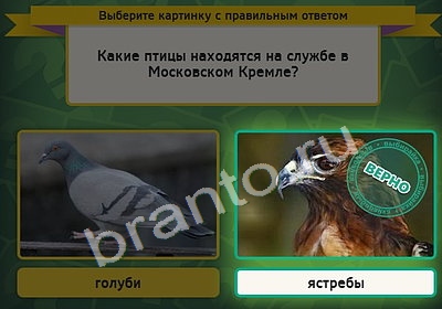 Выбирайка игра ответы в одноклассниках Уровень 4387