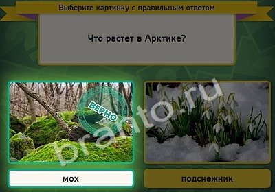 Одноклассники Выбирайка ответы Уровень 4388