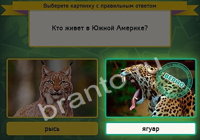 Выбирайка подсказки в контакте Уровень 4389