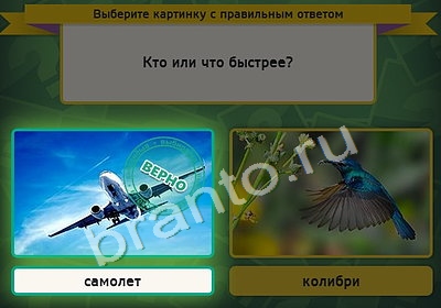 игра Выбирайка помощь Уровень 4399