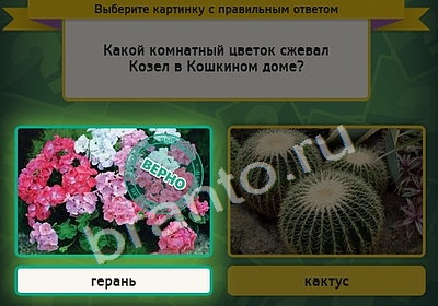 решебник на игру Выбирайка Уровень 4401