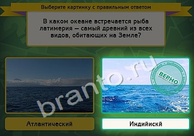 Помощь на игру ВК Выбирайка Уровень 4414