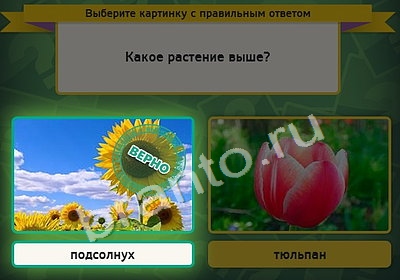 ответы на игру в одноклассниках Выбирайка Уровень 4416