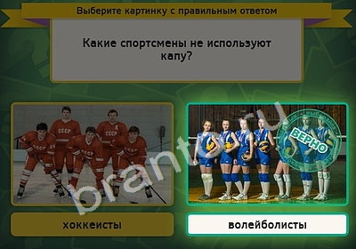 Выбирайка игра подсказки Уровень 4424
