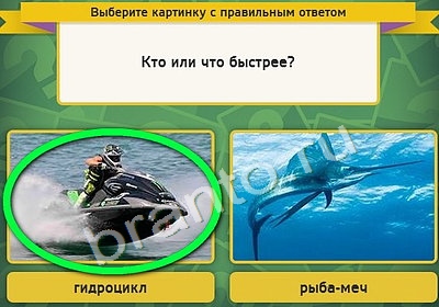 Выбирайка решения Уровень 4432