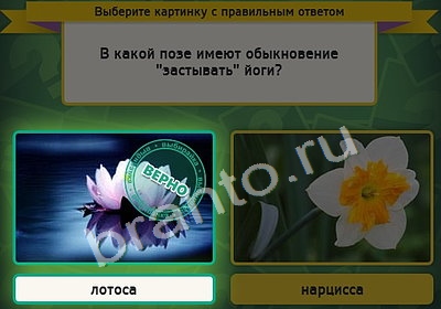 Выбирайка игра ответы Уровень 4433