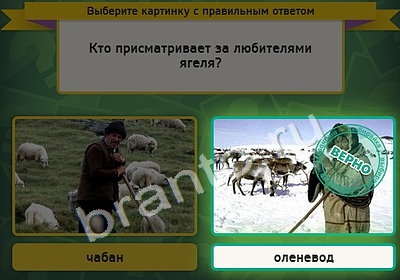 Выбирайка игра подсказки Уровень 4434