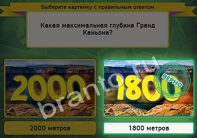 Выбирайка ответы в картинках Уровень 4436