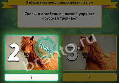 Игра Выбирайка ответы Уровень 4437