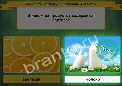 Игра Выбирайка подсказки Уровень 4438