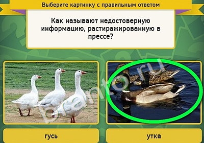 Помощь на игру ВК Выбирайка Уровень 4444