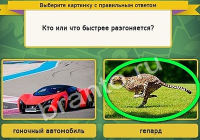 Выбирайка подсказки в контакте Уровень 4449