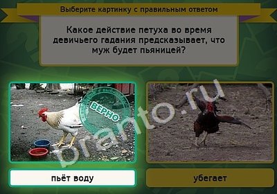 Выбирайка решения Уровень 4452