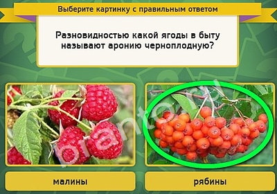Выбирайка ответы в картинках Уровень 4456