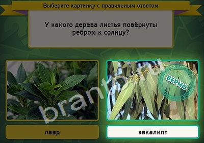 игра Выбирайка помощь Уровень 4469