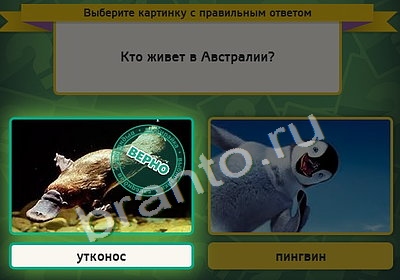 Выбирайка решения Уровень 4482